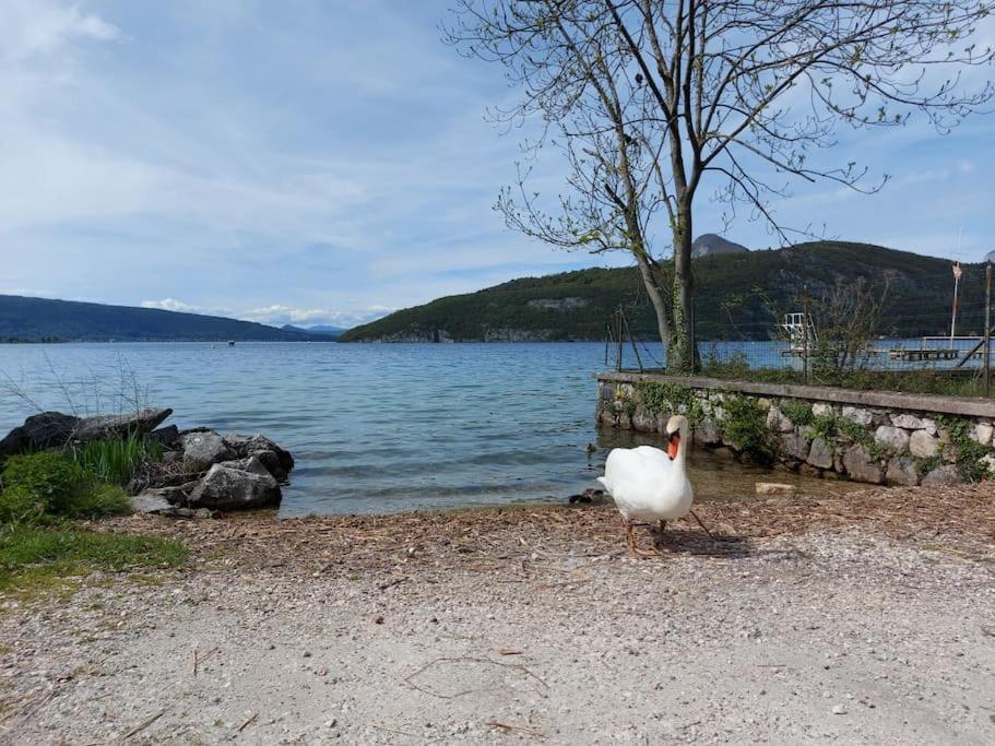 Charmant Et Spacieux Appartement A Quelques Pas Du Lac Duingt Kültér fotó